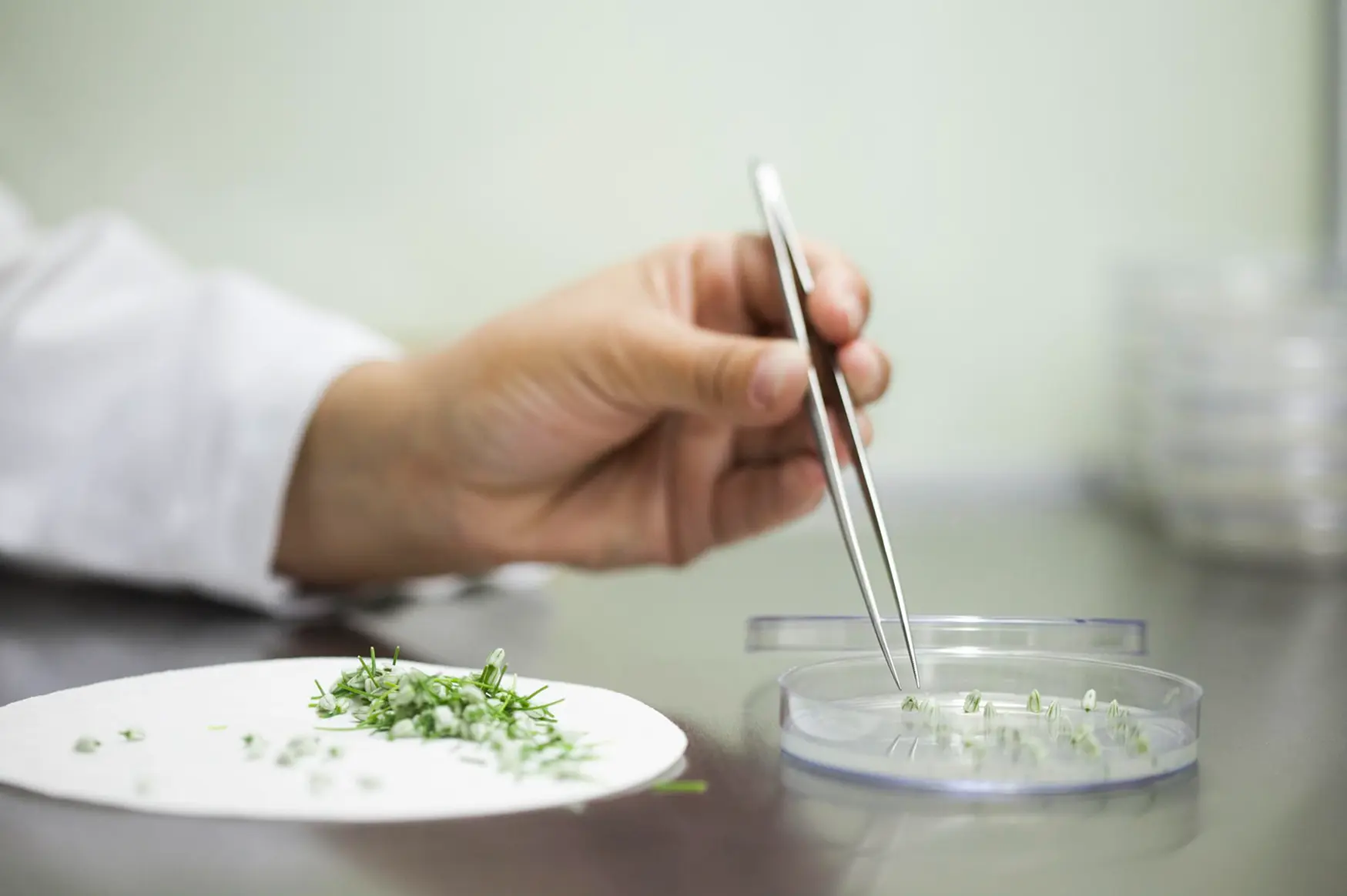 Food R&D Innovation